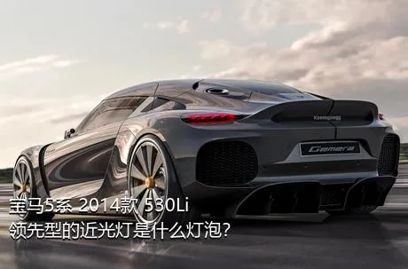 宝马5系 2014款 530Li 领先型的近光灯是什么灯泡？