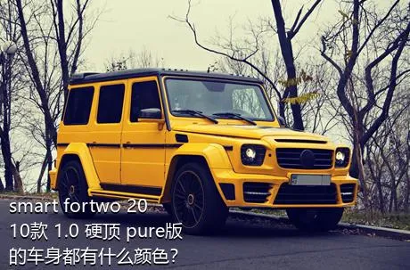 smart fortwo 2010款 1.0 硬顶 pure版的车身都有什么颜色？