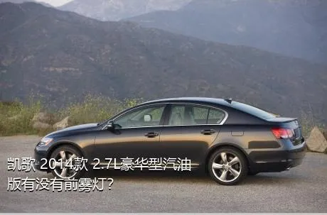 凯歌 2014款 2.7L豪华型汽油版有没有前雾灯？