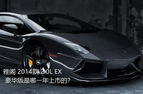雅阁 2014款 2.0L EX 豪华版是哪一年上市的？