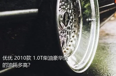 优优 2010款 1.0T柴油豪华型的油耗多高？