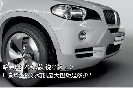 哈弗H3 2009款 锐意版 2.0L 豪华型的发动机最大扭矩是多少？