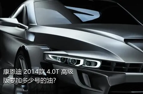 康恩迪 2014款 4.0T 高级版要加多少号的油？