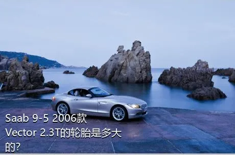 Saab 9-5 2006款 Vector 2.3T的轮胎是多大的？