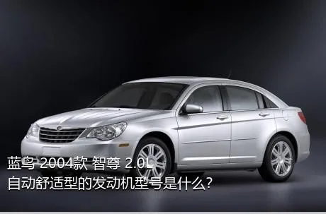 蓝鸟 2004款 智尊 2.0L 自动舒适型的发动机型号是什么？