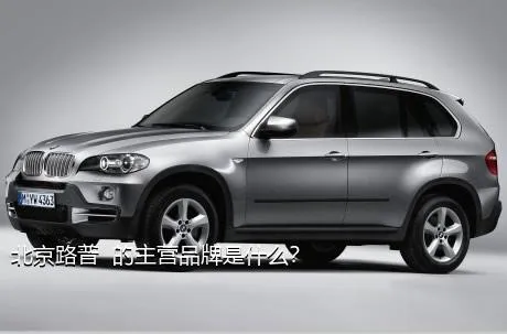北京路普  的主营品牌是什么？