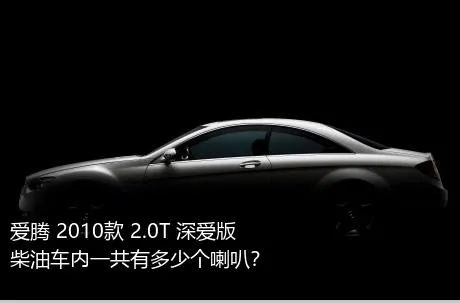 爱腾 2010款 2.0T 深爱版 柴油车内一共有多少个喇叭？