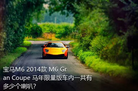 宝马M6 2014款 M6 Gran Coupe 马年限量版车内一共有多少个喇叭？