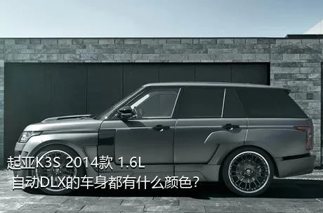 起亚K3S 2014款 1.6L 自动DLX的车身都有什么颜色？