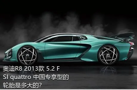 奥迪R8 2013款 5.2 FSI quattro 中国专享型的轮胎是多大的？