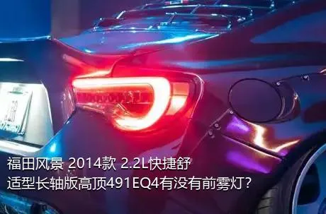 福田风景 2014款 2.2L快捷舒适型长轴版高顶491EQ4有没有前雾灯？