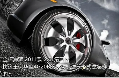 金杯海狮 2011款 2.0L第五代快运王豪华型4G20B的发动机进气形式是怎样的？