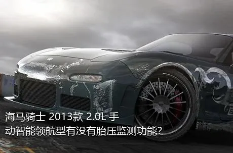海马骑士 2013款 2.0L 手动智能领航型有没有胎压监测功能？