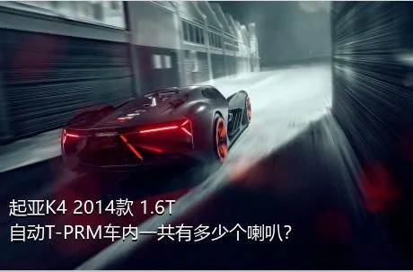 起亚K4 2014款 1.6T 自动T-PRM车内一共有多少个喇叭？