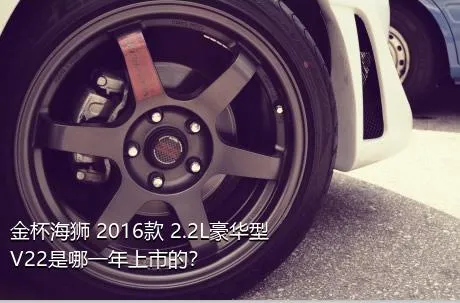金杯海狮 2016款 2.2L豪华型V22是哪一年上市的？