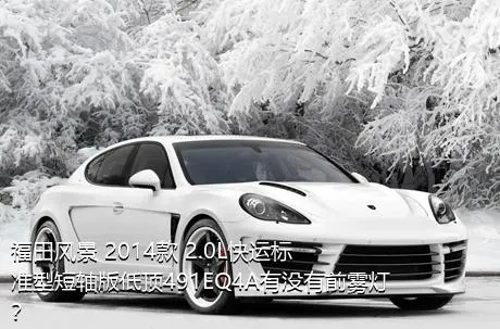 福田风景 2014款 2.0L快运标准型短轴版低顶491EQ4A有没有前雾灯？