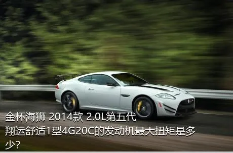 金杯海狮 2014款 2.0L第五代翔运舒适1型4G20C的发动机最大扭矩是多少？