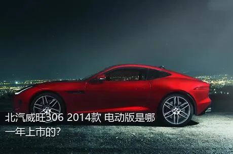 北汽威旺306 2014款 电动版是哪一年上市的？