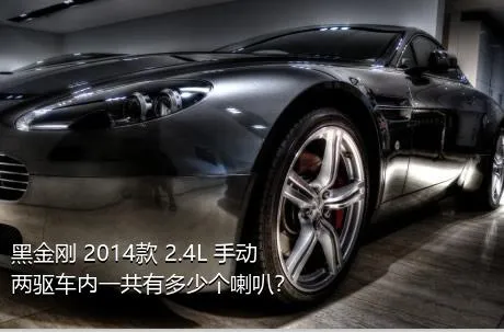 黑金刚 2014款 2.4L 手动两驱车内一共有多少个喇叭？