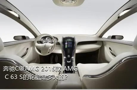 奔驰C级AMG 2015款 AMG C 63 S的轮胎是多大的？