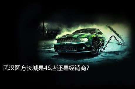 武汉圆方长城是4S店还是经销商？