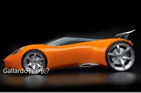Gallardo有多长？
