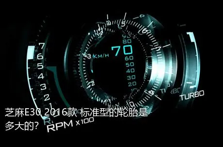 芝麻E30 2016款 标准型的轮胎是多大的？