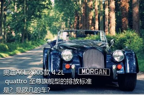 奥迪A6L 2005款 4.2L quattro 至尊旗舰型的排放标准是？是欧几的车？