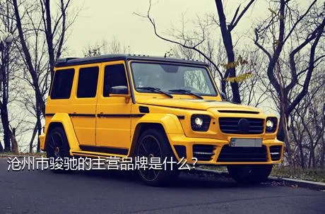 沧州市骏驰的主营品牌是什么？