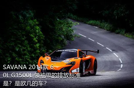 SAVANA 2014款 6.0L G1500L 领袖级的排放标准是？是欧几的车？