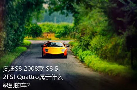 奥迪S8 2008款 S8 5.2FSI Quattro属于什么级别的车？