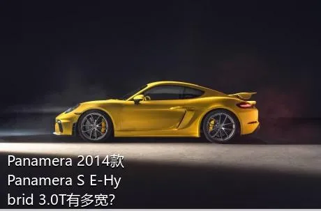 Panamera 2014款 Panamera S E-Hybrid 3.0T有多宽？