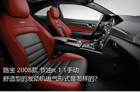 路宝 2008款 节油π 1.1手动舒适型的发动机进气形式是怎样的？