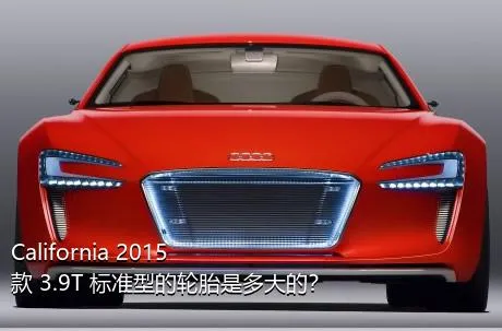California 2015款 3.9T 标准型的轮胎是多大的？