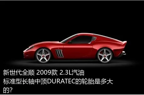 新世代全顺 2009款 2.3L汽油标准型长轴中顶DURATEC的轮胎是多大的？