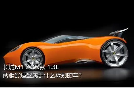 长城M1 2009款 1.3L 两驱舒适型属于什么级别的车？