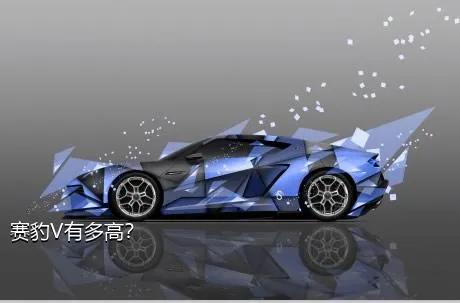 赛豹V有多高？
