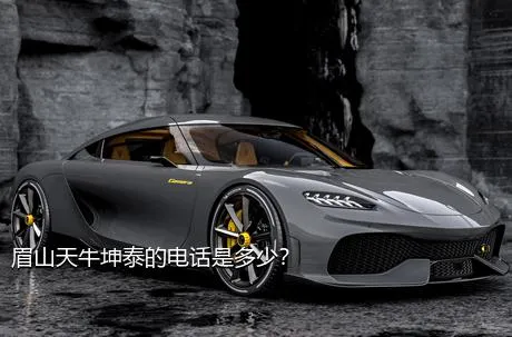 眉山天牛坤泰的电话是多少？