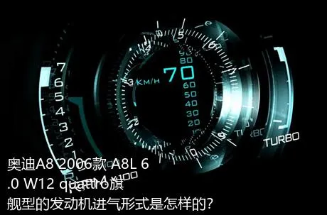 奥迪A8 2006款 A8L 6.0 W12 quattro旗舰型的发动机进气形式是怎样的？