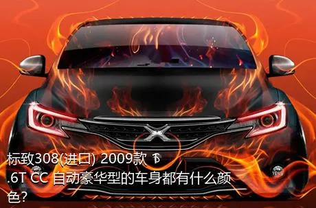 标致308(进口) 2009款 1.6T CC 自动豪华型的车身都有什么颜色？