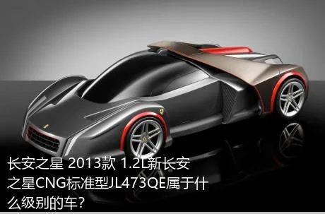 长安之星 2013款 1.2L新长安之星CNG标准型JL473QE属于什么级别的车？