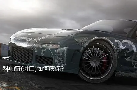 科帕奇(进口)如何质保？