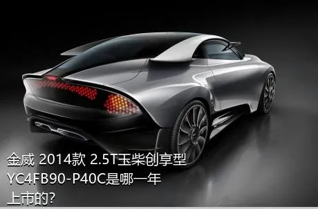 金威 2014款 2.5T玉柴创享型YC4FB90-P40C是哪一年上市的？