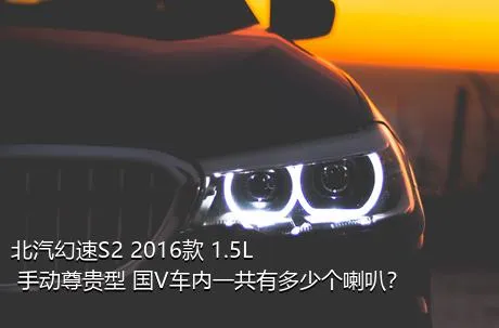 北汽幻速S2 2016款 1.5L 手动尊贵型 国V车内一共有多少个喇叭？