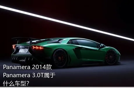 Panamera 2014款 Panamera 3.0T属于什么车型？