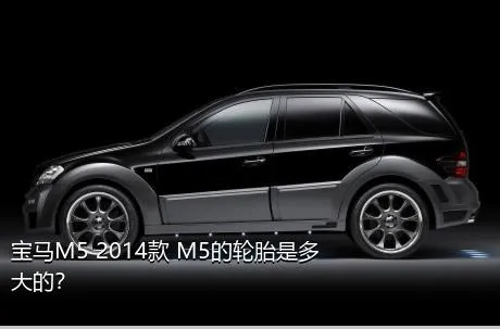 宝马M5 2014款 M5的轮胎是多大的？