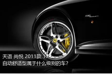 天语 尚悦 2011款 1.6L 自动舒适型属于什么级别的车？