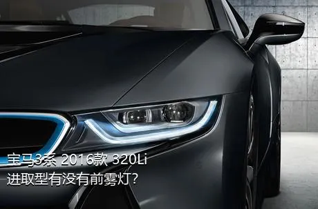 宝马3系 2016款 320Li 进取型有没有前雾灯？