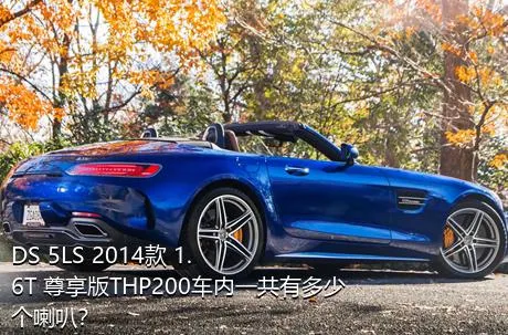 DS 5LS 2014款 1.6T 尊享版THP200车内一共有多少个喇叭？