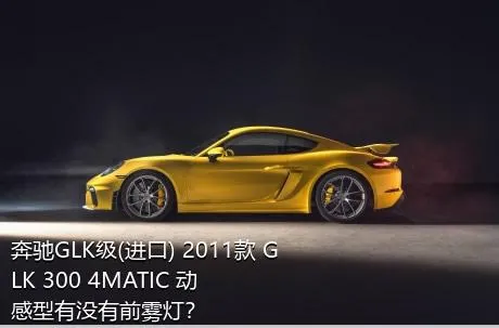 奔驰GLK级(进口) 2011款 GLK 300 4MATIC 动感型有没有前雾灯？